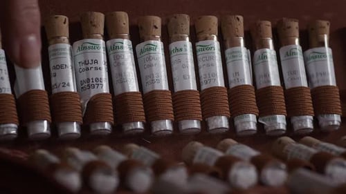 Homeopathic Medicine Bottles Arranged in an Organized Case