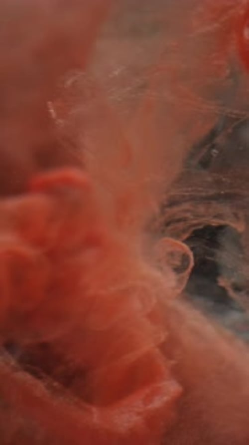 Abstract red and orange ink swirling in water