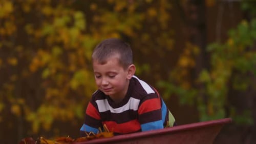 Young boy cheerfully throws autumn leaves in slow motion in the yard