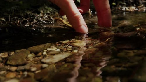 Hand, die einen kleinen Stein aus einem kleinen Bach aufnimmt, aus nächster Nähe