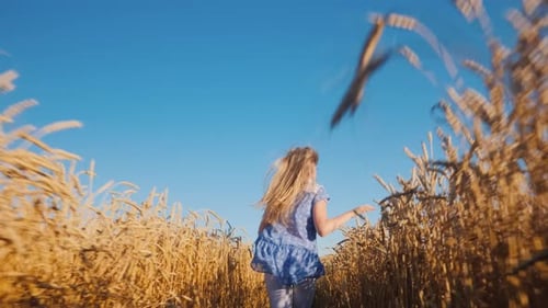 Low Angle Shot Carefree Girl Runs on a Wheat Field