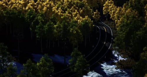 Curving Road Through Vibrant Autumn Forest in Tranquil Natural Setting