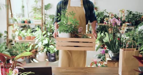 Close-up hands. Male florist man worker in apron standing in modern flower shop holding box basket