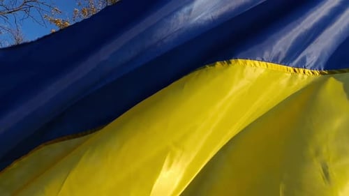 Ukrainian Flag Waving in the Wind