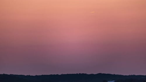 Pink Sunset with Silhouetted Trees and Birds