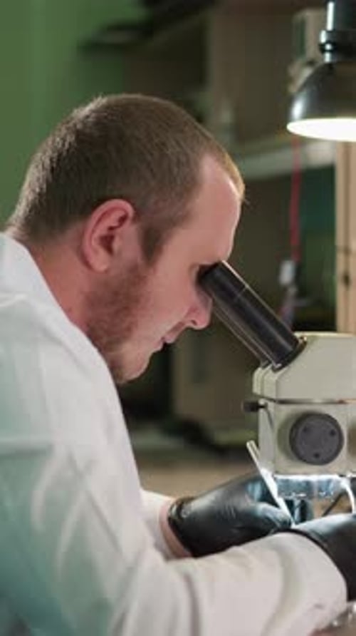 Man Using Microscope in Lab with Black Gloves