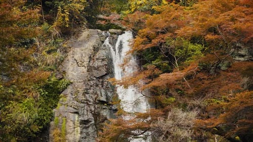 Beautiful Waterfall Flowing Through an Autumn Forest