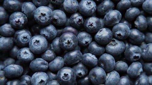 Macro shot of fresh organic blueberries