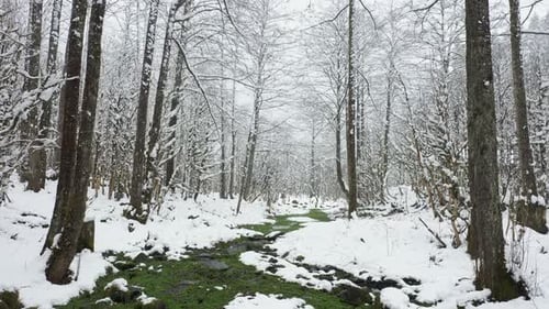 Stream flowing through snowy forest 4k
