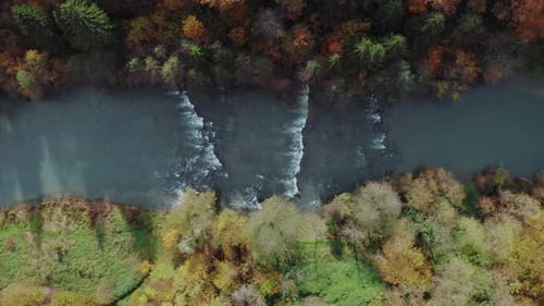 Top-down view of flowing river surrounded by thick forest.