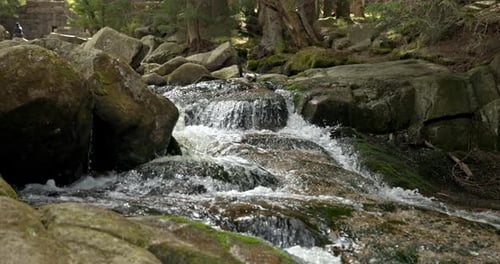 Ein Gebirgsbach mit kristallklarem, kühlem Quellwasser fließt zwischen Steinen und Felsen in einer Pinie