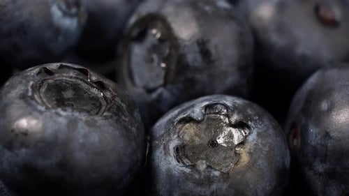 Ripe rotating blueberries on a light background.