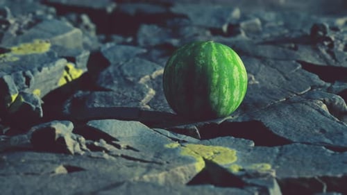 Watermelon Fruit Berry on Rocky Stones