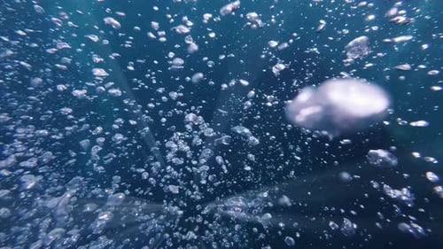 Rising Air Bubbles Undersea in Clear Blue Ocean