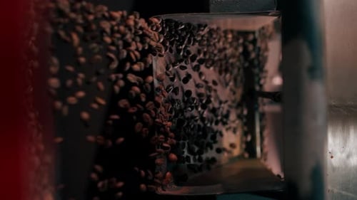 Vertical Video Close Up Coffee Roasting Factory Worker Stands Near the Roasting Machine Pouring
