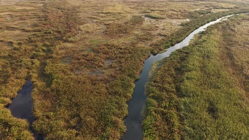 Aerial view of winding river through field, Botswana.