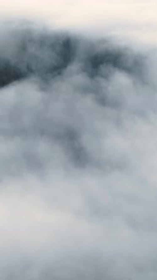 Vertical Screen Aerial Drone Footage Over Dense European Forest in Foggy Weather