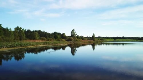 Nature Of Lake Misnitsko 23