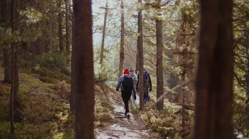 Group of People Hing in Forest Active