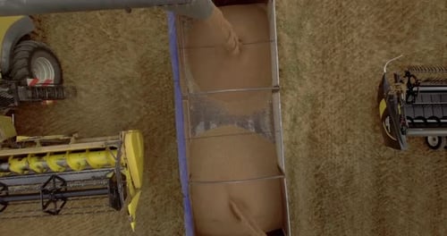 Aerial Harvesting: Combine Harvesters Collect Crops in Field