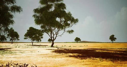 Landscape Featuring Sparse Trees Under Cloudy Sky During Day