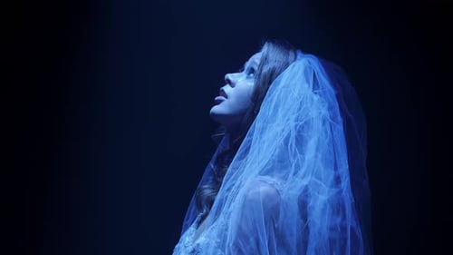Elegant Woman Wearing Wedding Veil in Blue Light