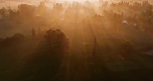 Misty Rural Landscape at Sunrise Aerial View