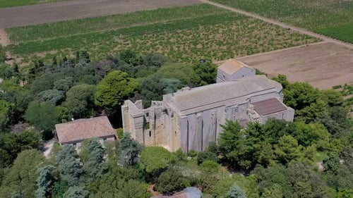 Aerial view of historic cathedral and vineyards, France.