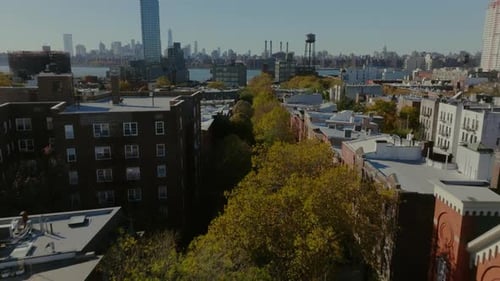 Aerial View Gliding Over a Tree Lined Street Featuring Brick Buildings in Williamsburg Brooklyn with