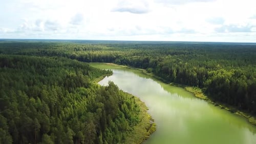 Lac Melkoye Strunovo et forêt