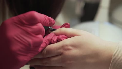 Manicurist Applying Dark Nail Polish in Beauty Salon