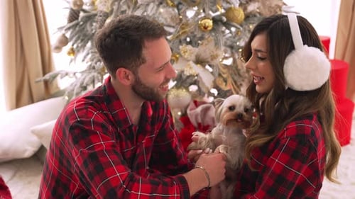 Couple Cuddling Dog by Christmas Tree at Home