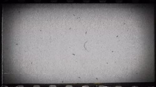 Old Film Frame Texture Overlay with Grain and Scratches