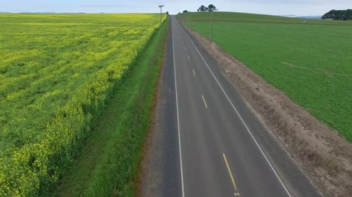 Aerial shot of country road