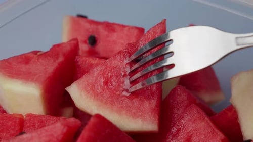 Juicy Red Watermelon