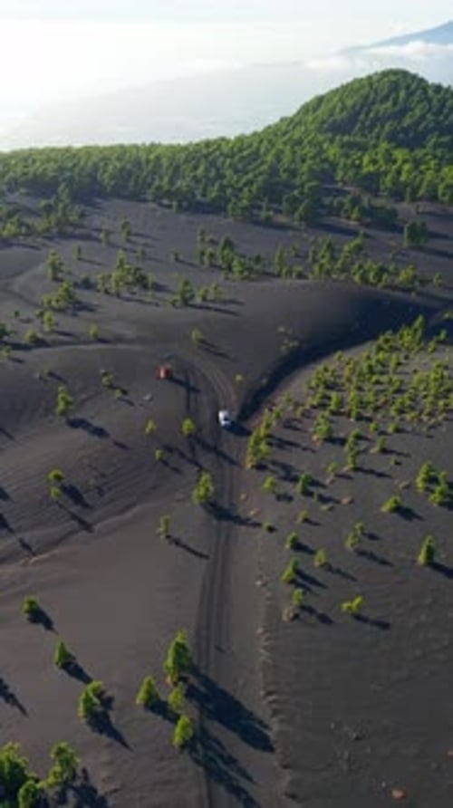 Le camping-car blanc est garé sur une route étroite entourée d'un sol volcanique noir et d'arbres verts
