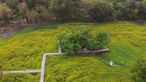Beautiful Green Landscape With Path and Benches Near The Forest - aerial shot