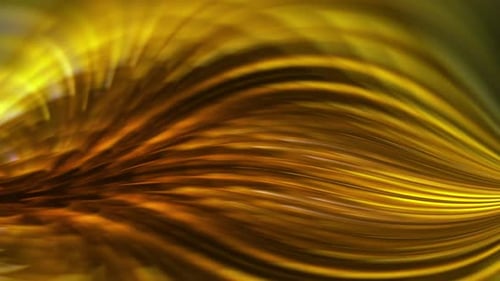 Abstract Golden Fluid Wavy Lines Background Animation