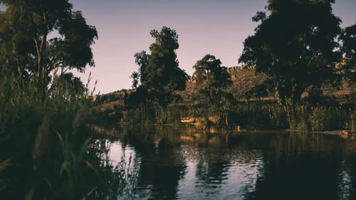 Crocodile reposant au bord d'une rivière entouré d'une végétation luxuriante au crépuscule