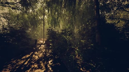 Striking Luminous Column Radiant Tower Emerges Among Wooded Surroundings