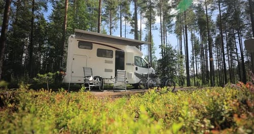 Camper Van Parked in a Beautiful Green Forest