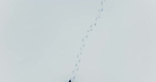 Hiker Walking in Deep Snow Outdoors in Forest Landscape
