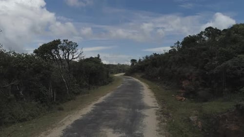 Cinematic Zoom out shot of a jungle in Sri Lanka.
