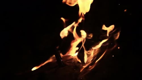 Dynamic Flames Dance in the Night