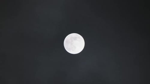 Bright Full Moon Shines in the Night Sky