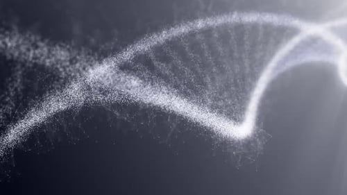 DNA Structure Consists of DNA Strands of Chromosomes and Rotates in Space