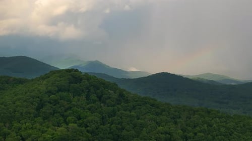 Smokey Mountains Summer Woods Appalachian Mountains in North Carolina with Fresh Green Forest Trees