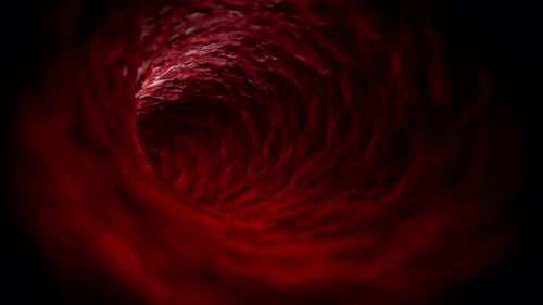 Red Blood Cells Flowing Through Vein Loop Medical Animation
