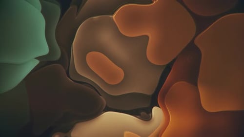 Abstract Fluid Morphing Shapes Background Animation