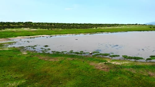 Aerial view of green wetlands and lake